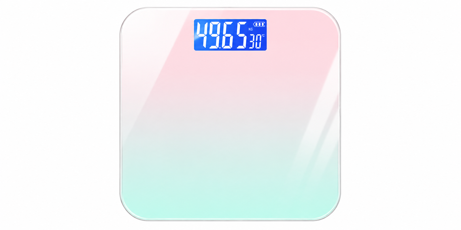 Digital Weighing Scale