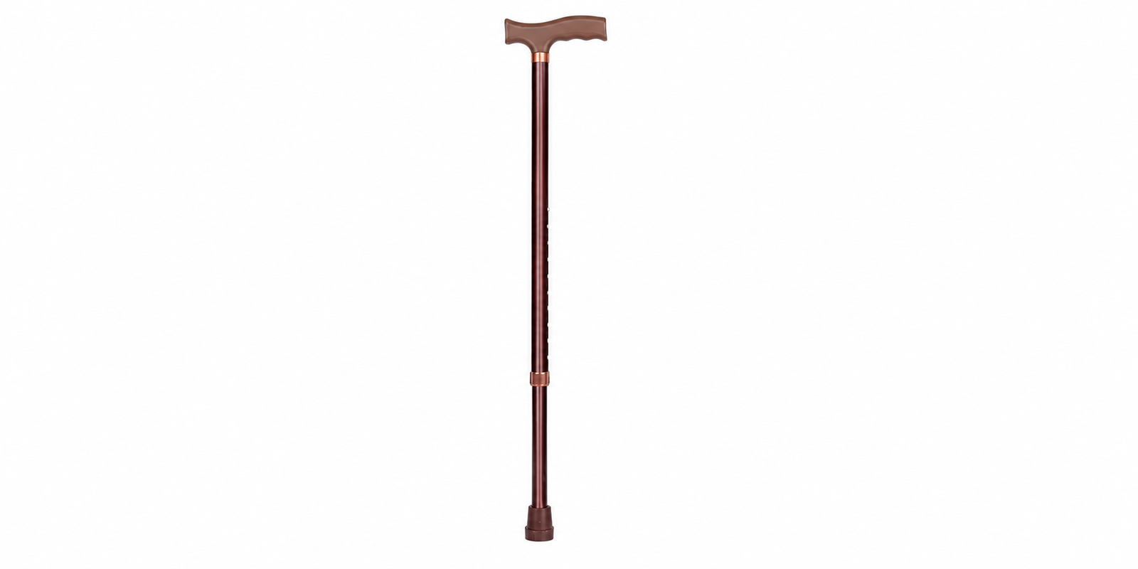 Walking Stick